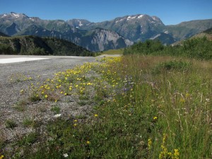 IMG_0469