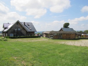IMG_1470