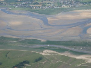 IMG_4651