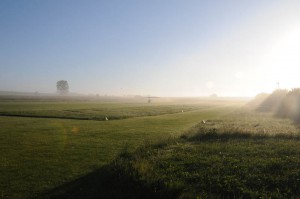 300_1236