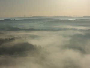 DSCN3035