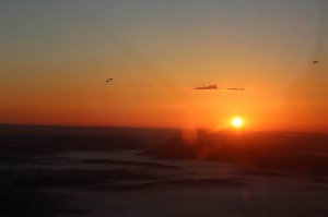 IMG_6817