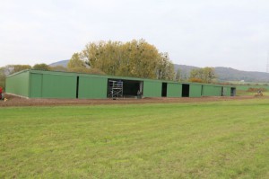 Zoufftgen (1086)